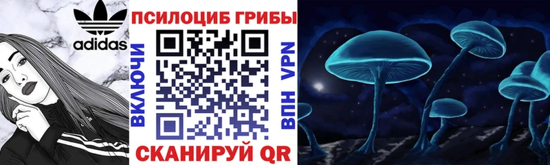 Псилоцибиновые грибы Magic Shrooms  Моздок 